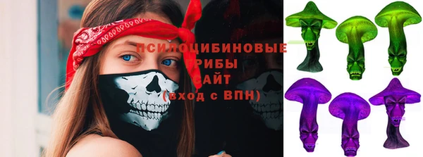 индика Аркадак