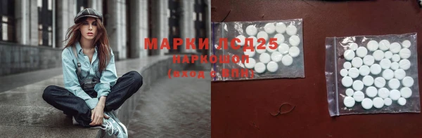 прущие грибы Армянск
