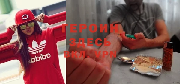 индика Аркадак