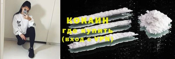 прущие грибы Армянск