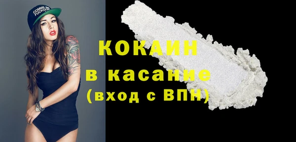 шишки Няндома