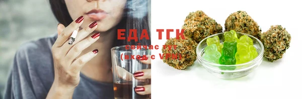 индика Аркадак