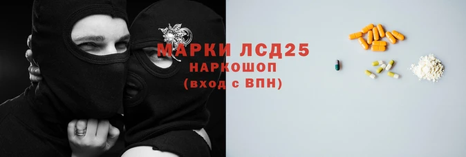 индика Аркадак