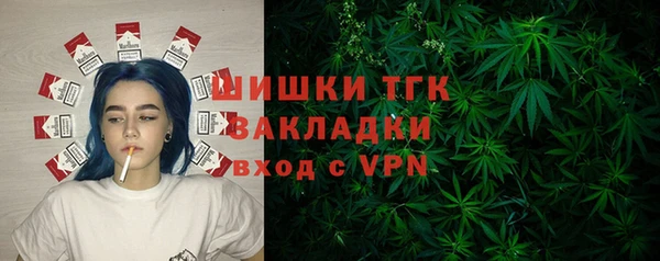 прущие грибы Армянск